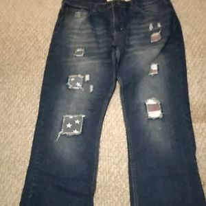 Agile Distressed Jeans